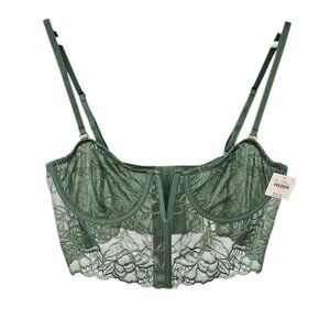 Anthropologie Floral Lace Bustier Underwired V-Front Size Large Green Sheer NWT